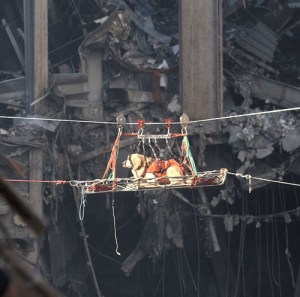 010915-N-3995K-022 New York, N.Y. (Sept. 15, 2001) -- A rescue dog is transported out of the debris of the World Trade Center. The twin towers of the center were destroyed in a Sept. 11 terrorist attack. U.S. Navy Photo by Journalist 1st Class Preston Keres. (RELEASED)
